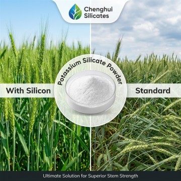 100% Soluble Potassium Silicate Powder for Foliar Spray