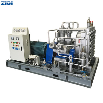Water Cooled Industrial High Pressure Natural Gas Piston Air Compressor for Gas Filling Stations