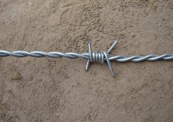 Galvanized Barbed Iron Wire