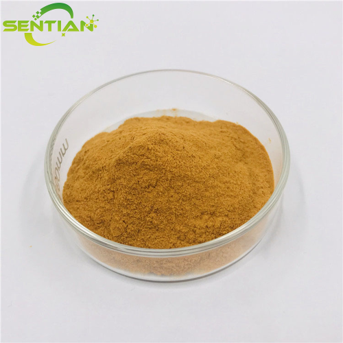 High-Quality Ginkgo Extract