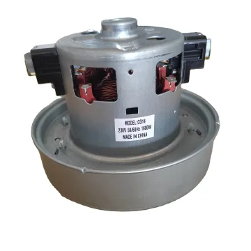 Factory Supply BLDC Vacuum Cleaner Motor for LG Vacuum Cleaner - CG-14 230V 50/60HZ 1600W Parts