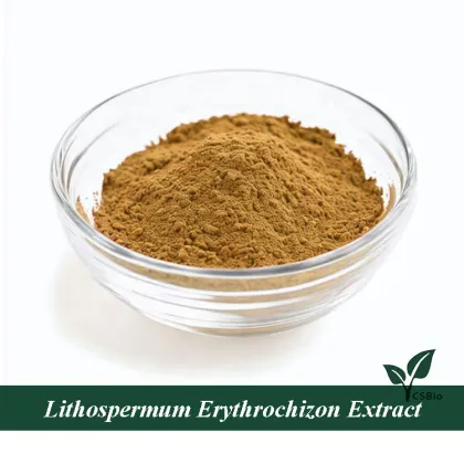 Wholesale lithospermum officinale extract