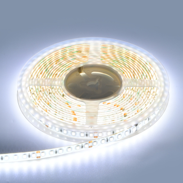 2023 New IP65 Waterproof LED Strip Lights: SMD 2835/5050 Flexible Decorative Lighting