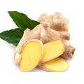 Water Soluble Pure Organic Ginger Extract Powder