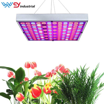 45W Panel Plant Light Full Spectrum