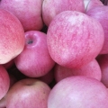 अच्छी गुणवत्ता के साथ थोक मूल्य Qinguan सेब