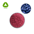 Extrait de cassis en poudre d'antioxydants naturels