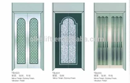 German Technology Professional Home Villa Lift/Elevator