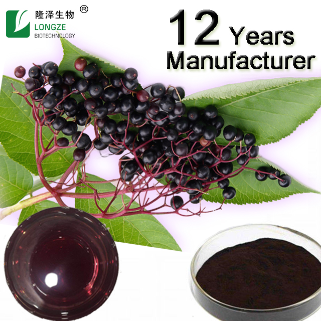Black elderberry
