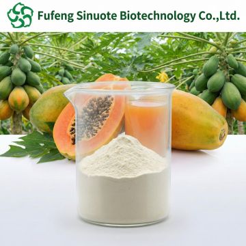 100% Organic Instant Papaya Juice Powder for Beverage