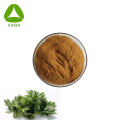 Supply Ashitaba Extract Powder/Angelica Keiskei Extract