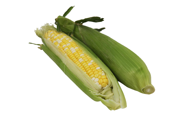 Corn Removebg Preview