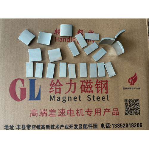 Segment Arc NdFeB Magnet Neodymium Magnets