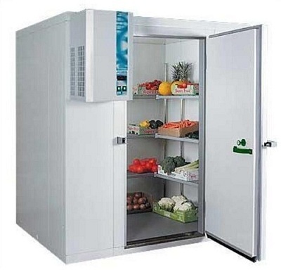 Deep Freezer Fish Cold Storage Room