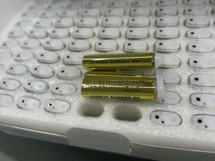 ACE disposable empty 2ml device