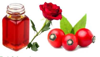 Best rosehip powder best rosehip extract powder