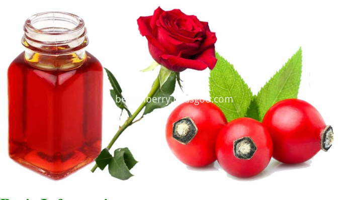 rose hip extract 1