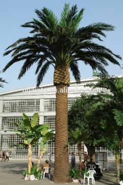 fake plastic coconut tree factory home garden ornament use artificial palm tree