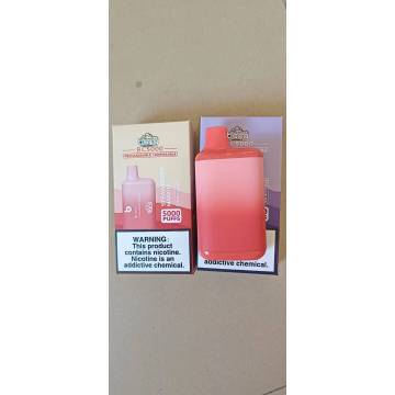 Wholesale Bang 5000 puffs Electronic Cigarettes Rechargeable