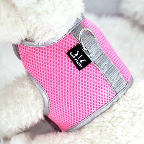 Pink Airflow Mesh Harness with Velcro back