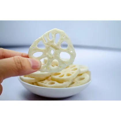 Natural Lotus Root & Dried Fruit Crisps: Healthy, Crunchy Snacks in Bulk