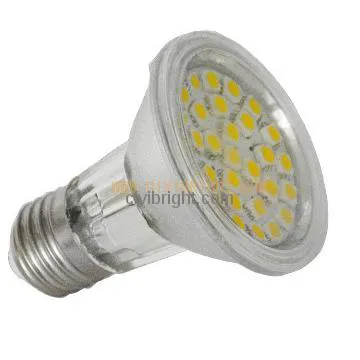 LED Par 30 bulb