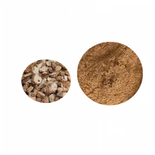 kaempferol extract kaempferol Powder