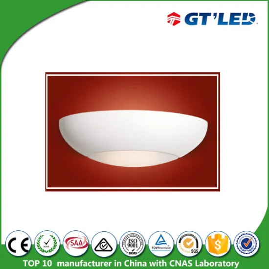 ShenZhen Factory LED Indoor Decorative Light 13w Dimming Wall Up Down Lights