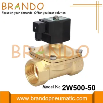 2 Inch Brass Water Electric Solenoid Valve 220VAC
