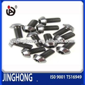 High Quality Cheese Head Titanium Bolt