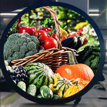 Best 23.6 Inch Round TFT LCD Display on Sale