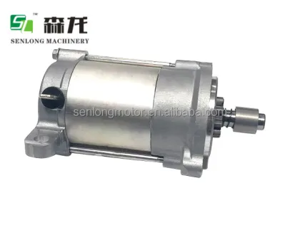 12V 11T Starter Motor for Taiga Snowmobile in Novosibirsk 428000-8971