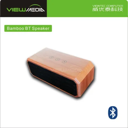 Indoor outdoor mp3 player song direct song wooden Bamboo BT Bluetooth speaker