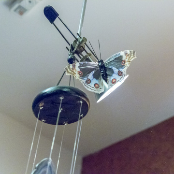 Kelebek temalı dekorasyon fikirleri