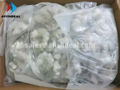 BLACK TIGER SHRIMP - FROZEN PENAEUS