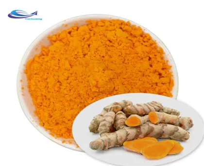 Natural turmeric Root Extract Curcumin Powder Curcumin 95%