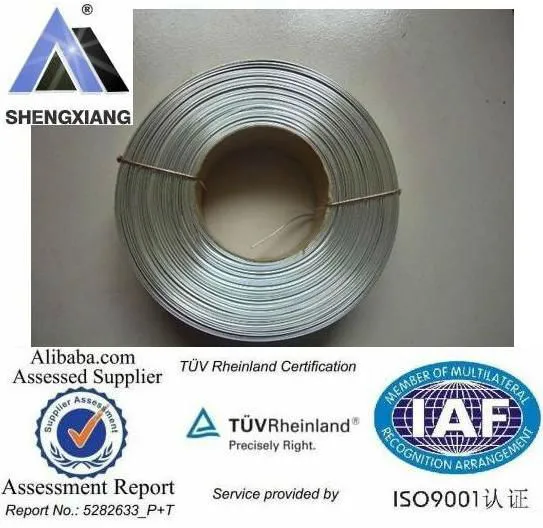 TUV Rheinland Verified Stainless Steel Lashing Wire