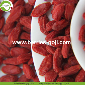 Factory Bulk Price Comprar Wolfberries