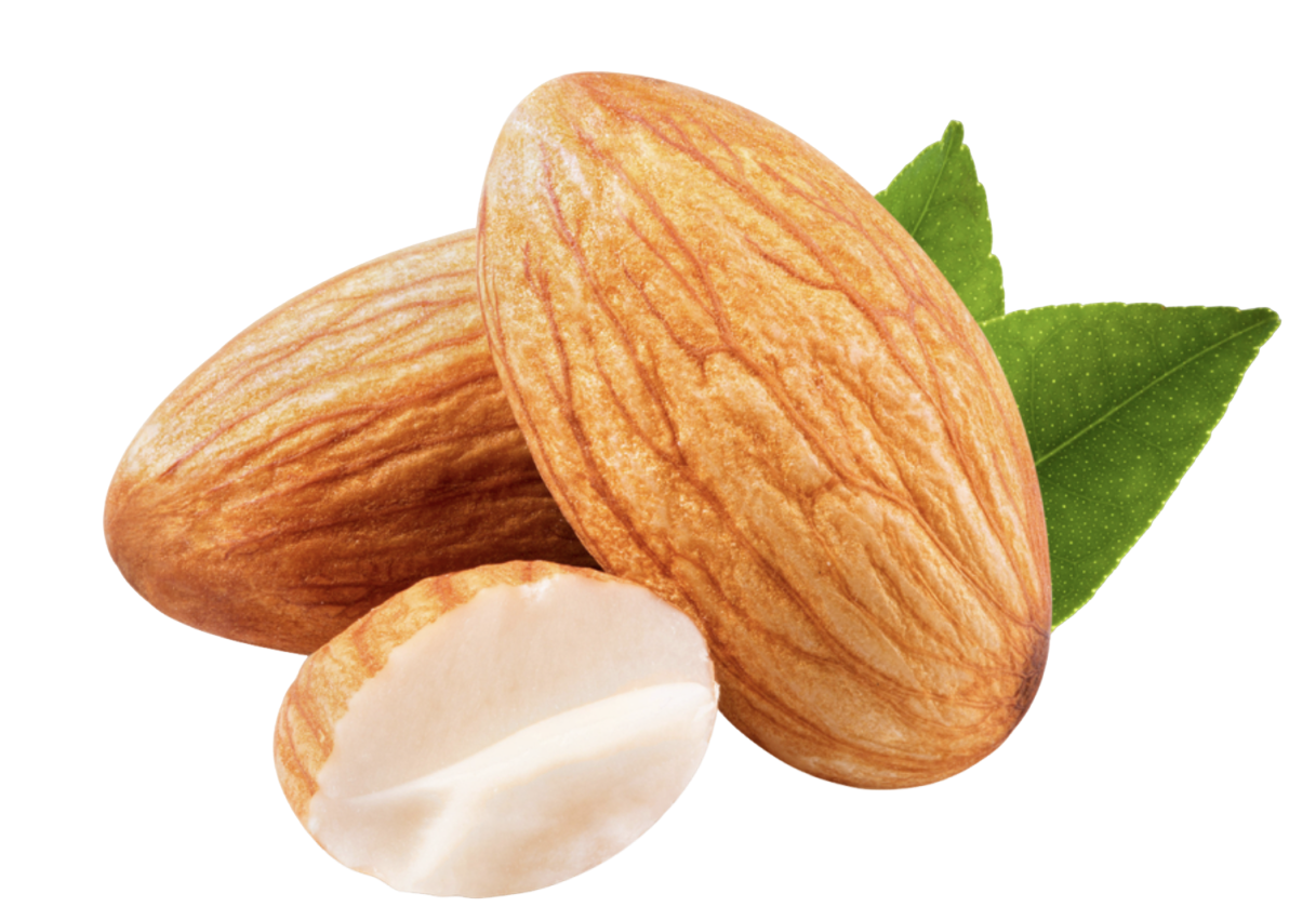 Almond Powder Manufacturer