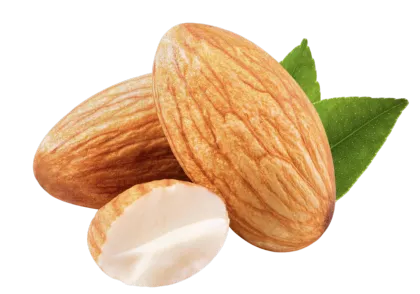Almond Powder for Dietary Supplement Ingredients