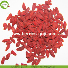 Factory Wholesale Bulk A Grade Wolfberries