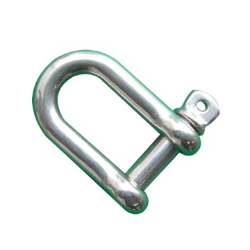 Stainless Steel D Shackle