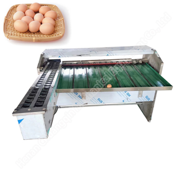 Egg Sorting Machine: Basic Egg Grading and Weight Sorting Machine