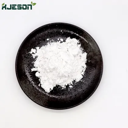 Herbal extract Oyster Shell Powder shell powder