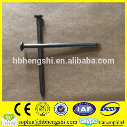 black steel nails/iron nails