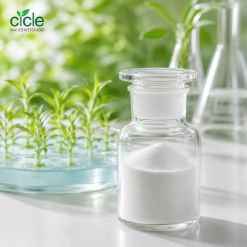 Trans-Zeatin 99% Cytokinin Powder for Tissue Culture