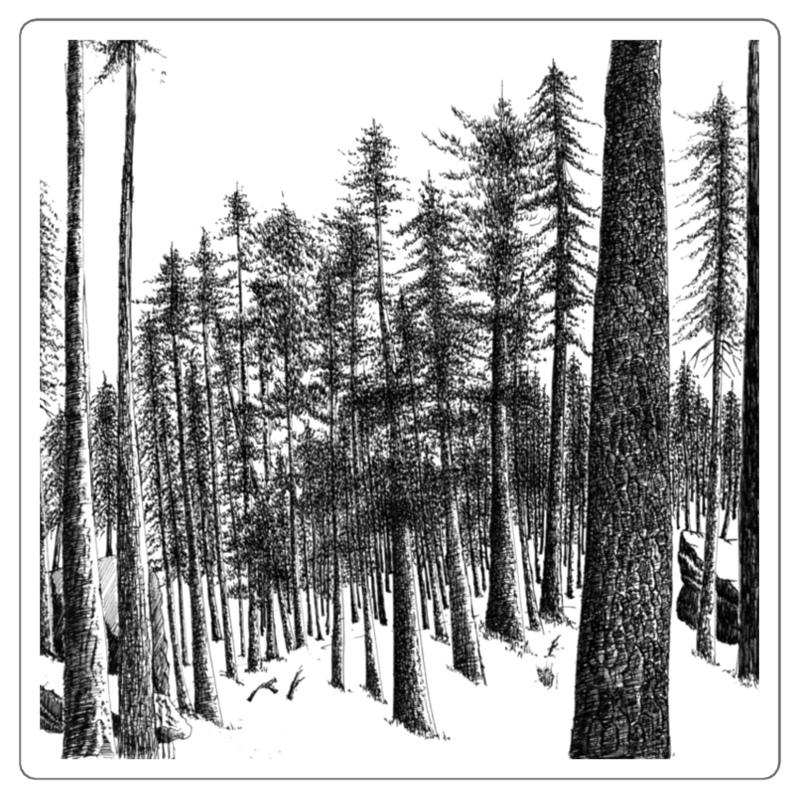 Pen Sketch The Passage In Winter