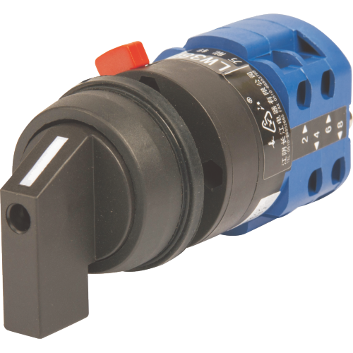 LW38D Single-hole Non-plate Cam Switch