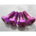 wholesale OEM Anodized colours titanium screw