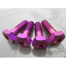 parafusos torx de titânio anodizado